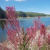 Review photo of Jumbo Campground by Jennifer C., August 27, 2018