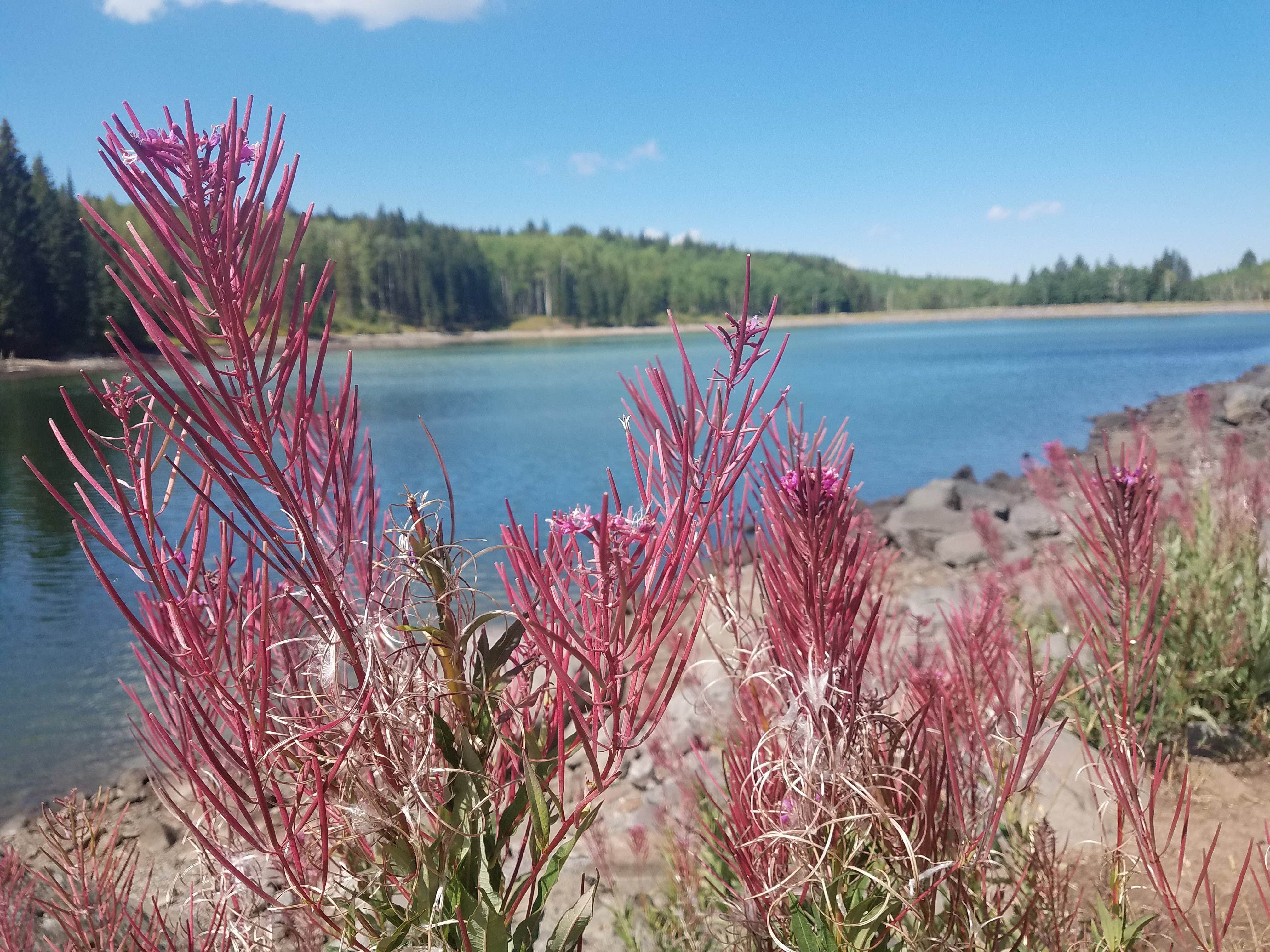 Camper submitted image from Jumbo Campground — Jumbo Reservoir State Wildlife Area - 2