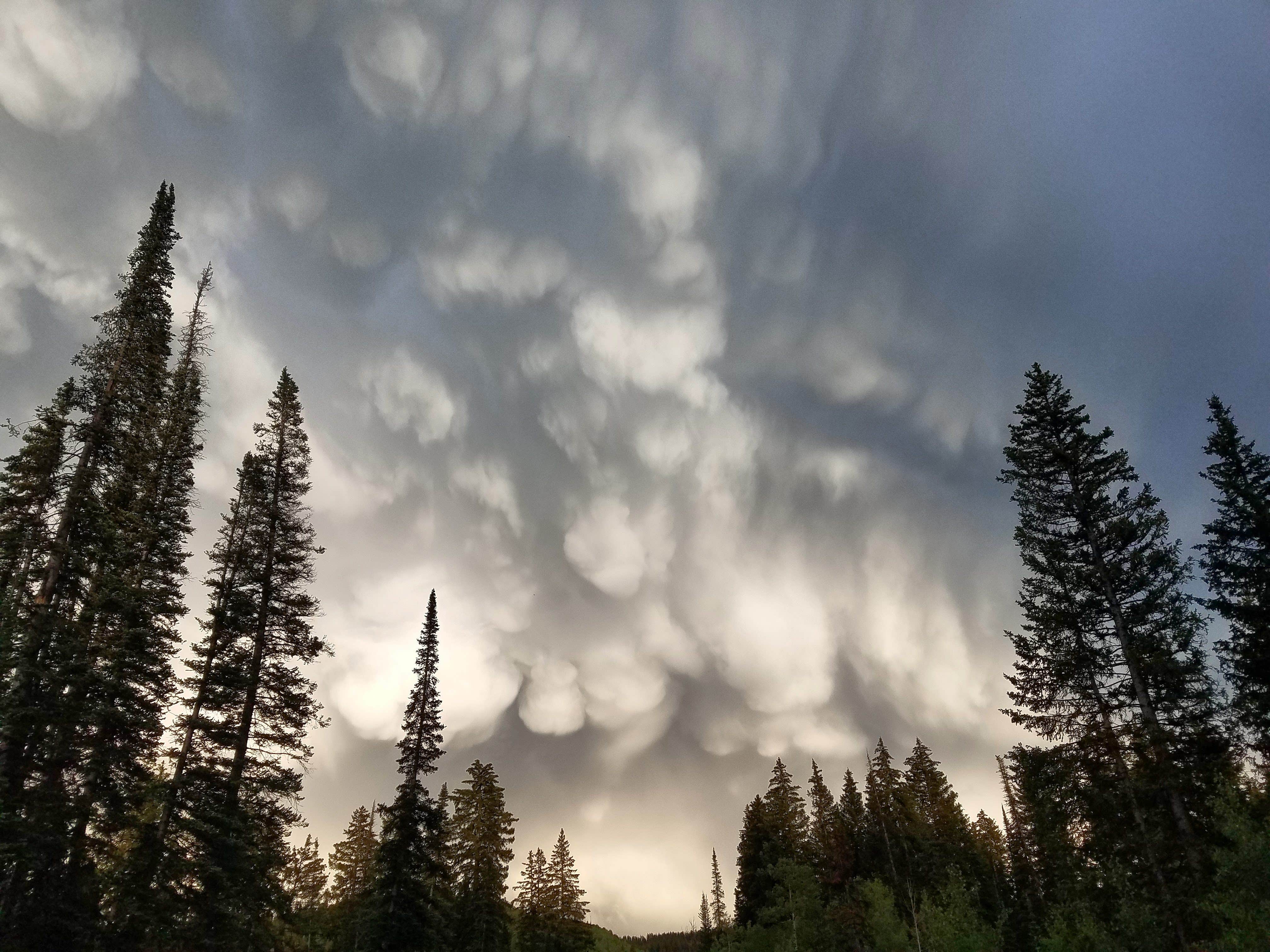 Camper-submitted photo at Jumbo Campground near Collbran, CO