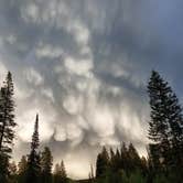 Review photo of Jumbo Campground by Jennifer C., August 27, 2018