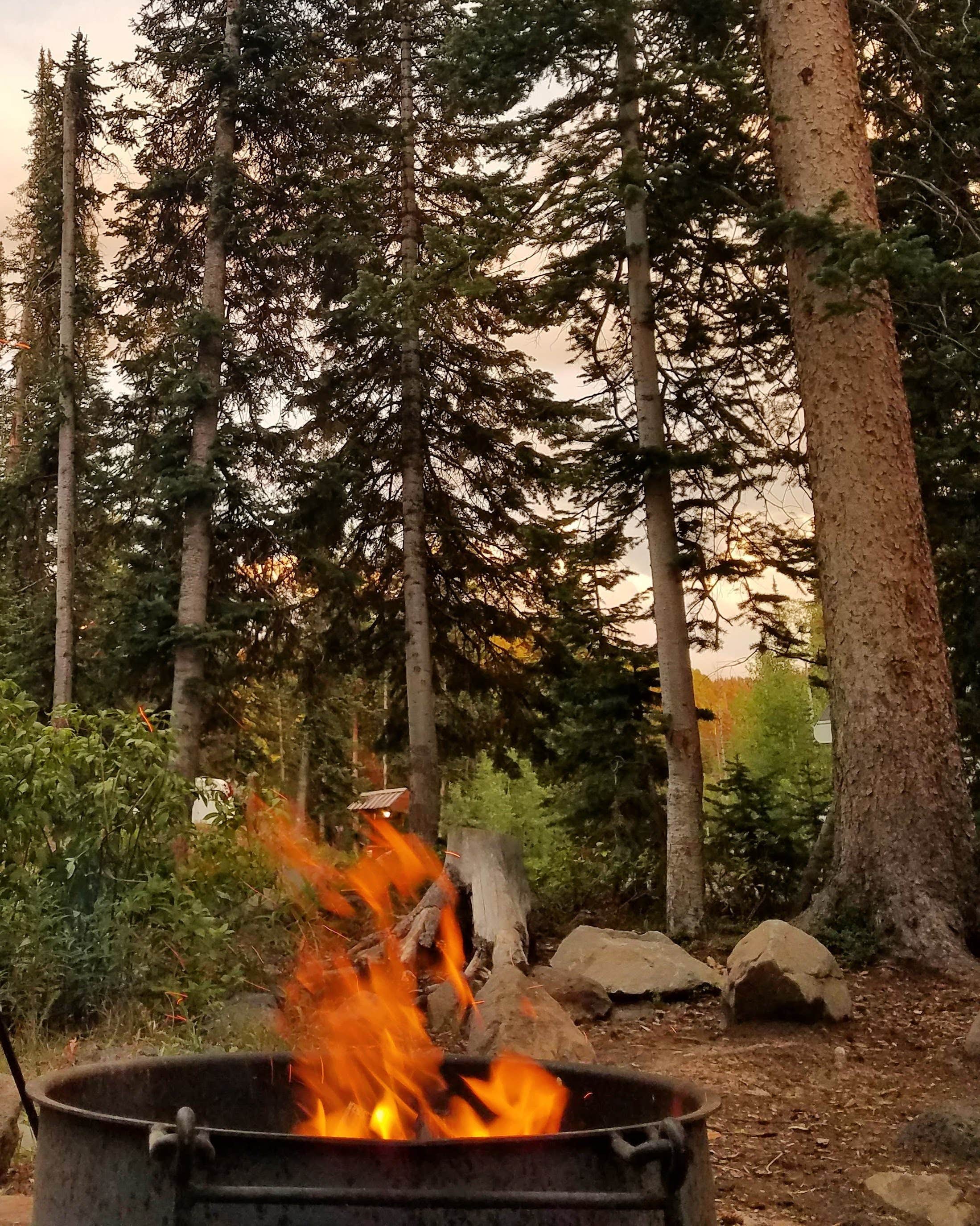 Camper-submitted photo at Jumbo Campground near Collbran, CO