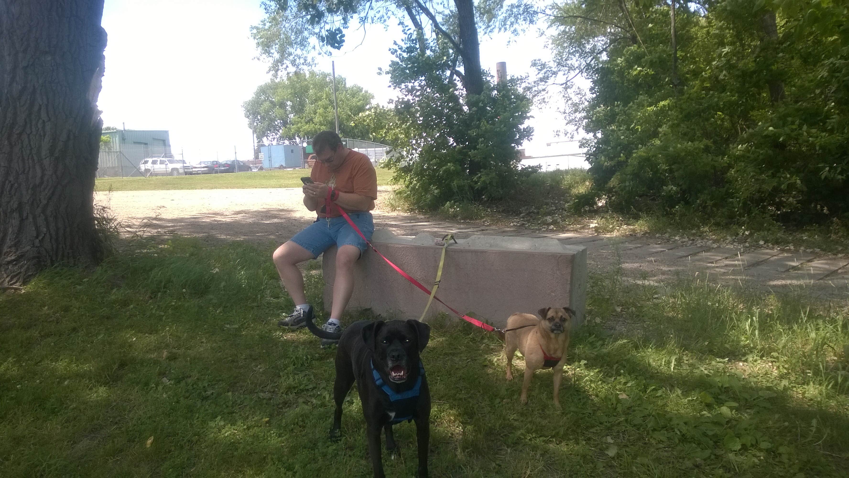 Jill G.'s photo of camping with pets at Red Fox Campground — Minneopa State Park near Henderson, MN