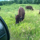 Review photo of Red Fox Campground — Minneopa State Park by Jill G., August 28, 2018