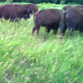 Review photo of Red Fox Campground — Minneopa State Park by Jill G., August 28, 2018