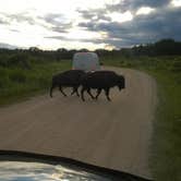 Review photo of Red Fox Campground — Minneopa State Park by Jill G., August 28, 2018