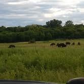 Review photo of Red Fox Campground — Minneopa State Park by Jill G., August 28, 2018