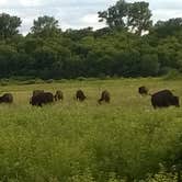 Review photo of Red Fox Campground — Minneopa State Park by Jill G., August 28, 2018