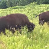 Review photo of Red Fox Campground — Minneopa State Park by Jill G., August 28, 2018