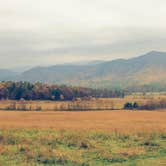 Review photo of Cades Cove Campground by Meg  S., July 1, 2015