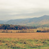 Review photo of Cades Cove Campground by Meg  S., July 1, 2015