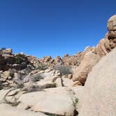 Review photo of Jumbo Rocks Campground — Joshua Tree National Park by Elliott B., August 1, 2016