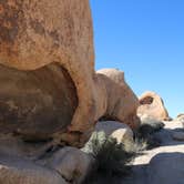 Review photo of Jumbo Rocks Campground — Joshua Tree National Park by Elliott B., August 1, 2016