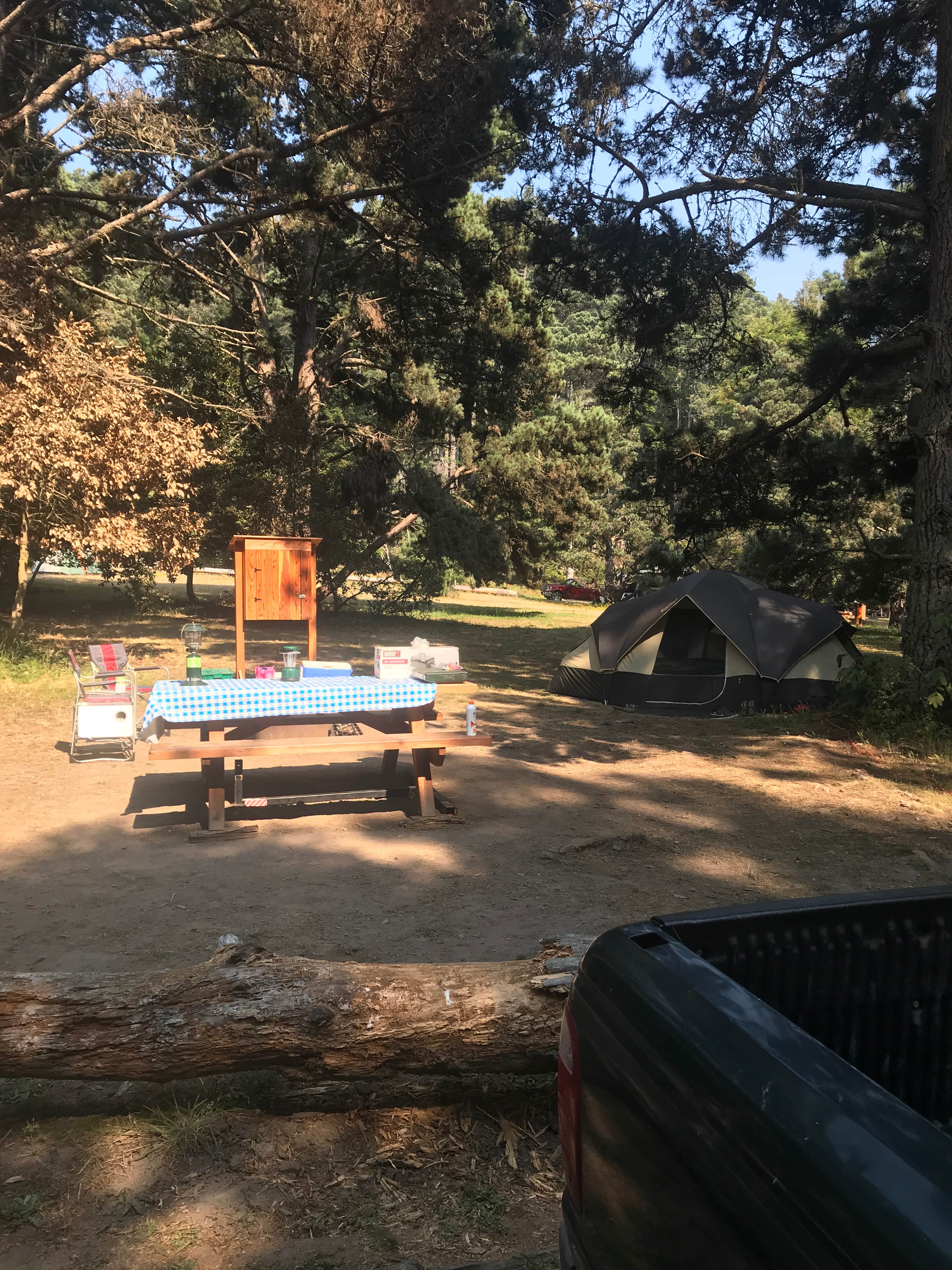 Camper submitted image from Van Damme State Park Campground - 4