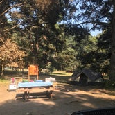 Review photo of Van Damme State Park Campground by Maureen C., August 28, 2018
