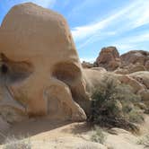 Review photo of Jumbo Rocks Campground — Joshua Tree National Park by Elliott B., August 1, 2016