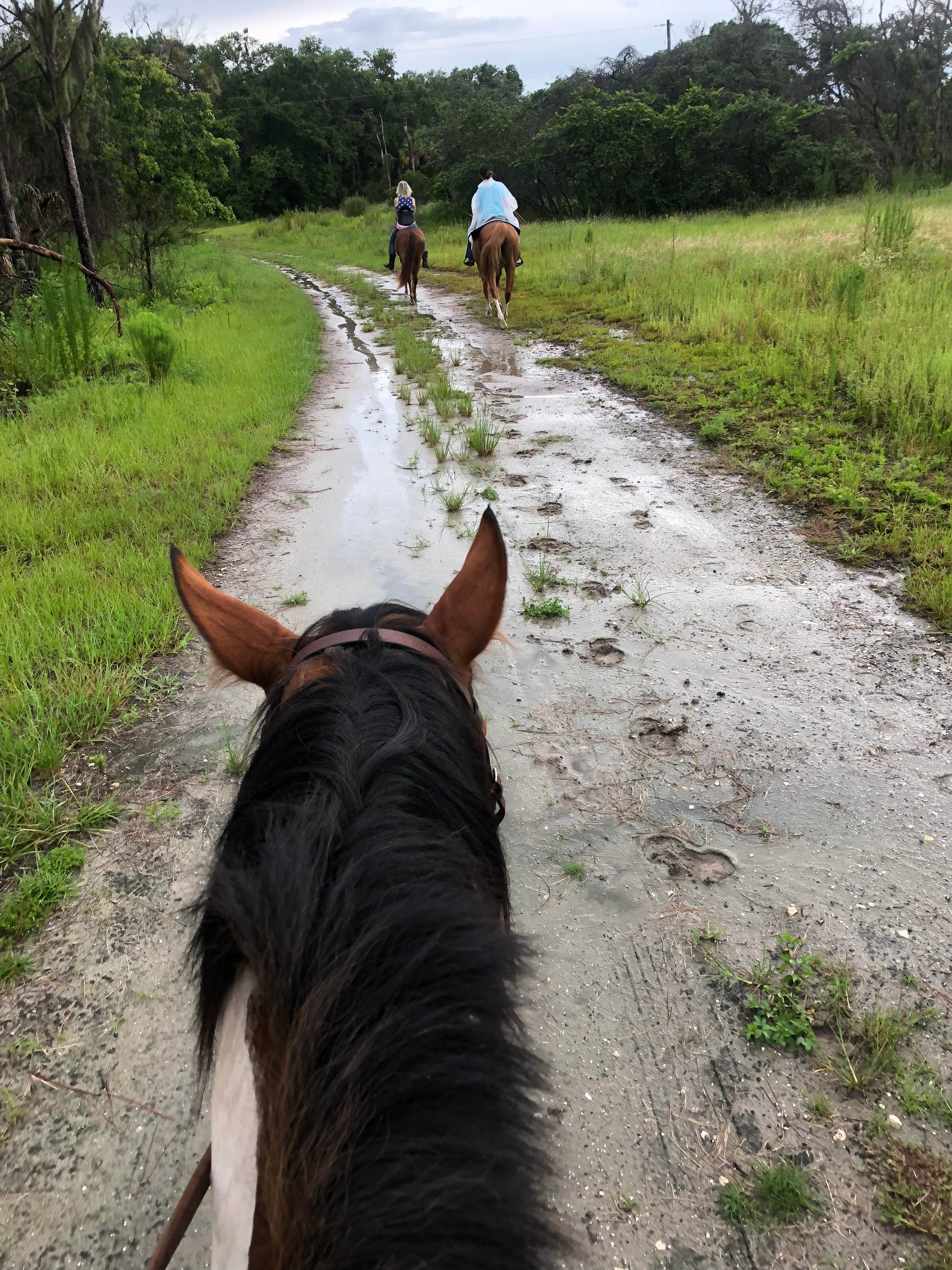 Camper-submitted photo at Alafia River State Park Campground near Elkton, FL