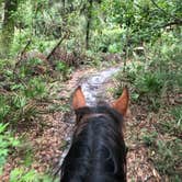 Review photo of Alafia River State Park Campground by Donna H., August 28, 2018