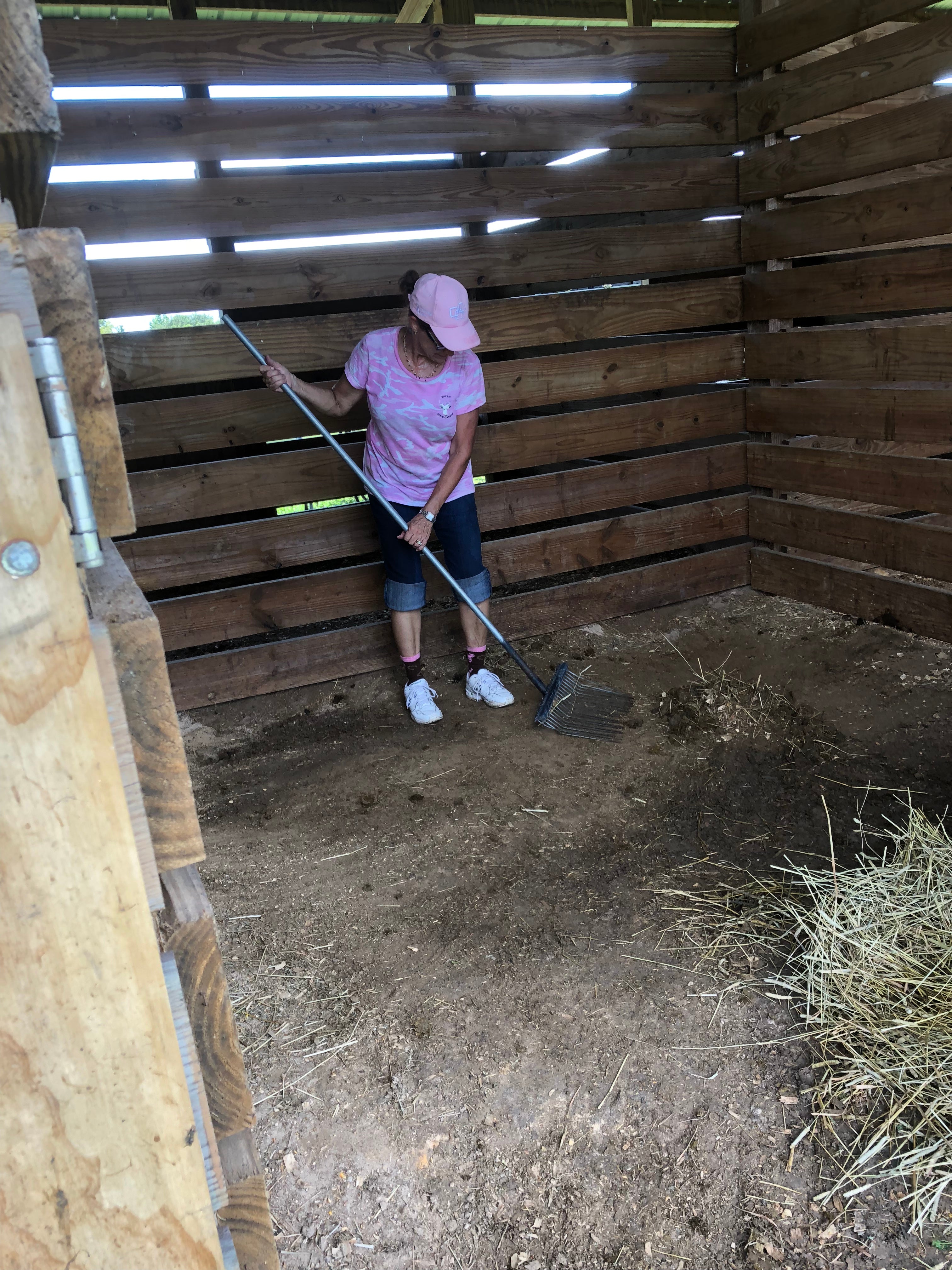 Barbara cleaning Lacey’s horse stall