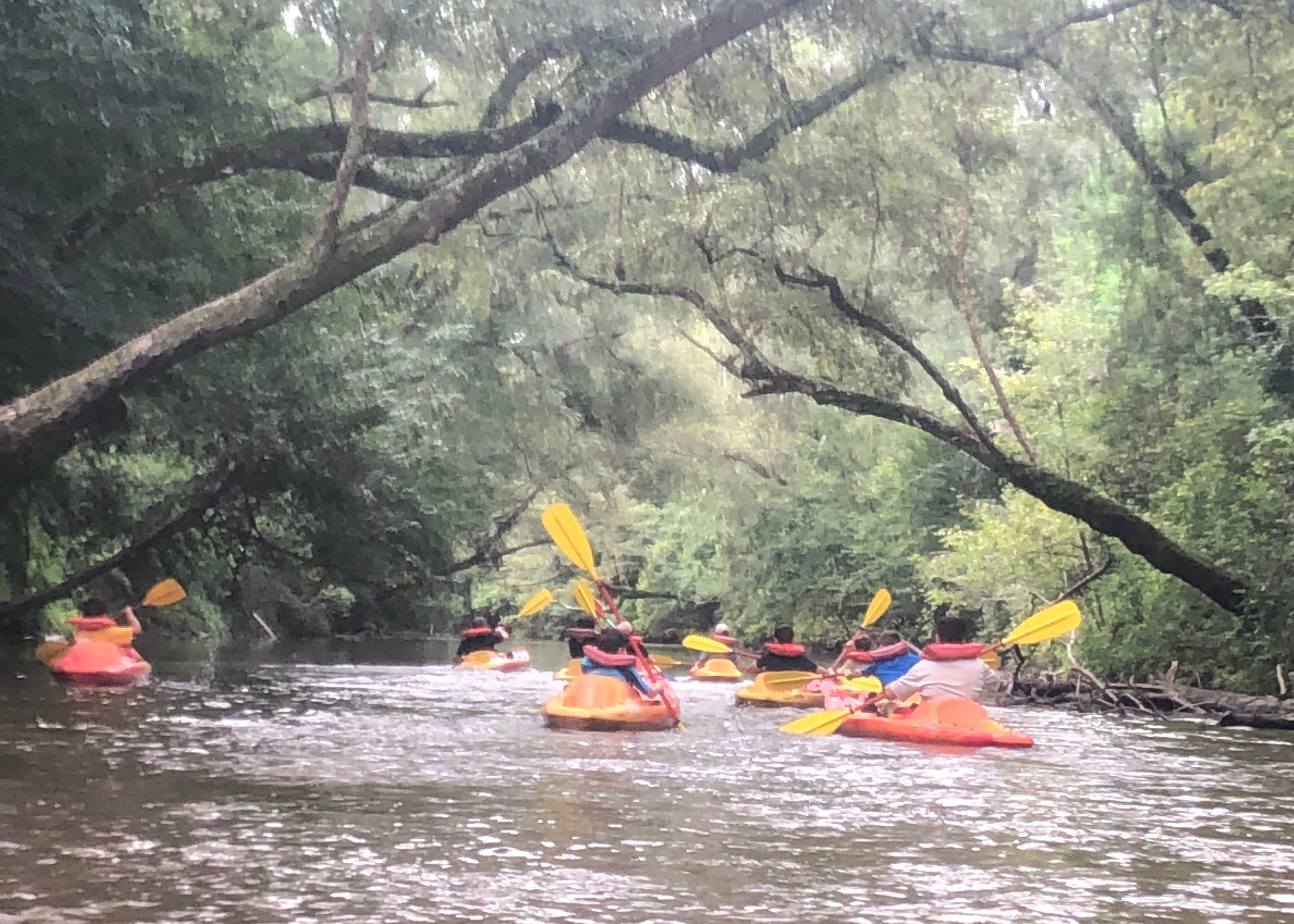 Okatoma Water Park Camping The Dyrt