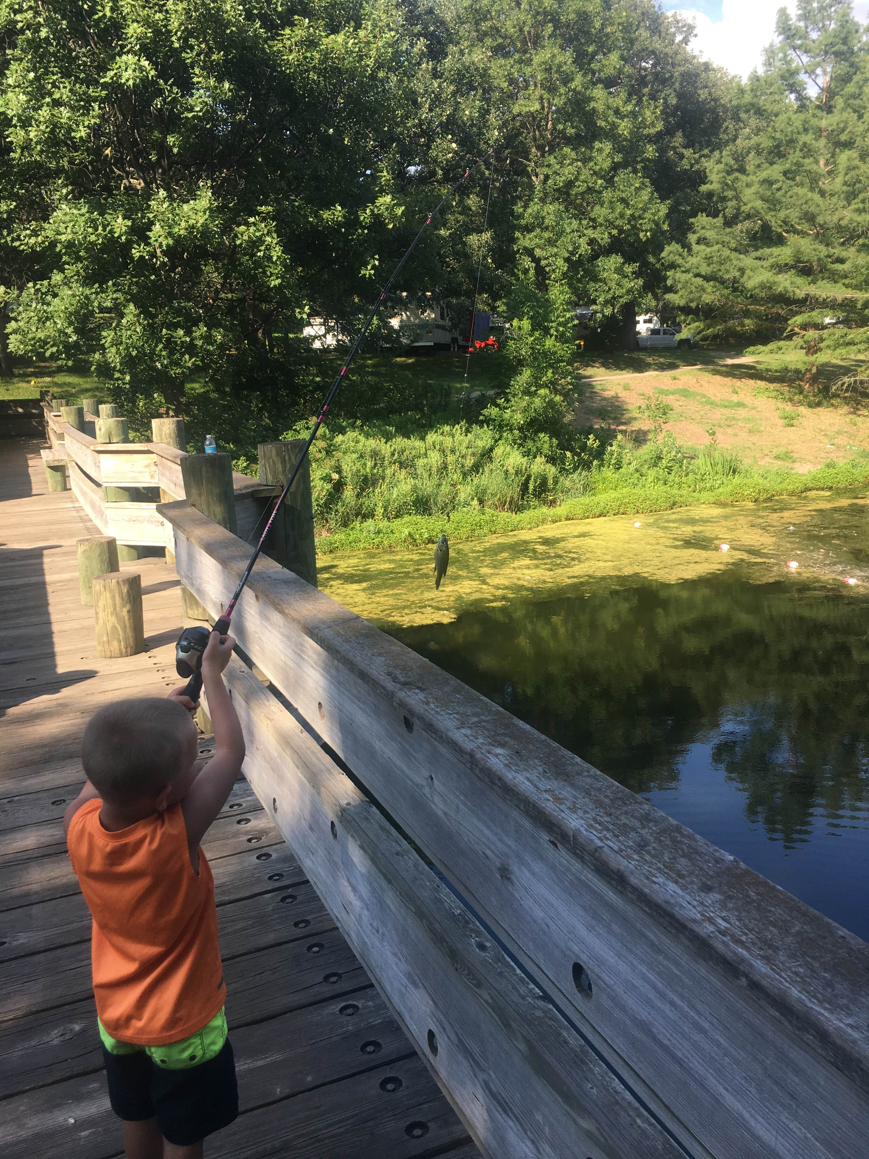 Camper submitted image from Eugene T. Mahoney State Park Campground - 2