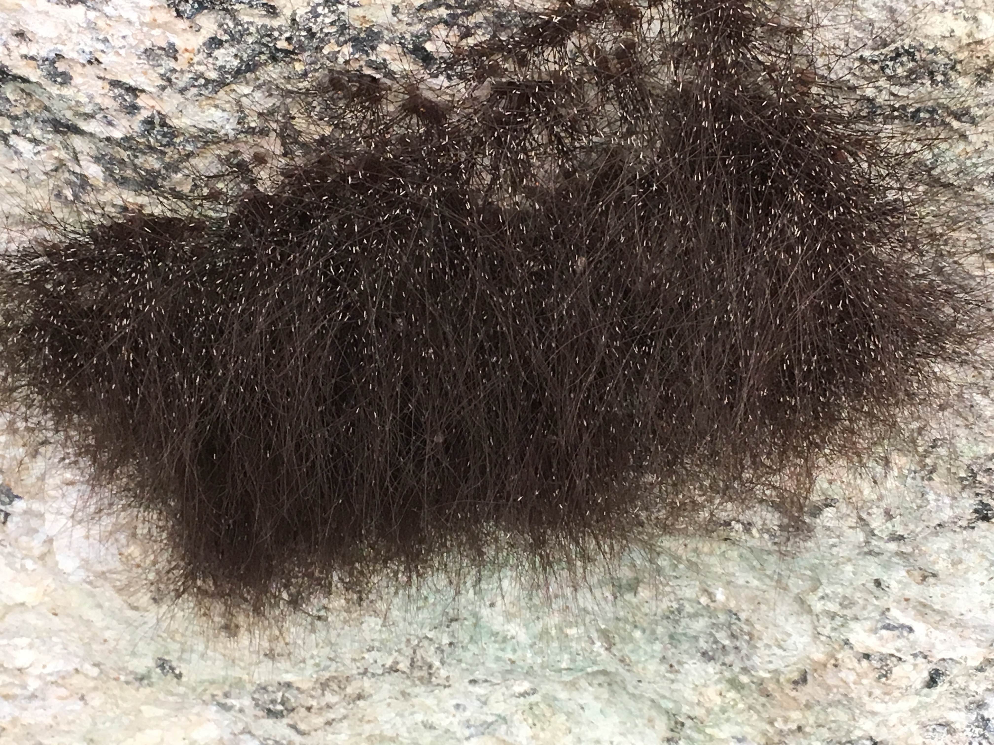 Camper-submitted photo at Mother Neff State Park Campground near Copperas Cove, TX