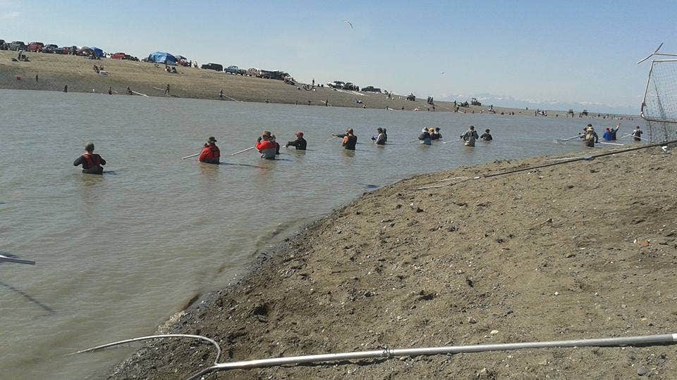 Camper-submitted photo at Kasilof River Special Use Area near Kasilof, AK