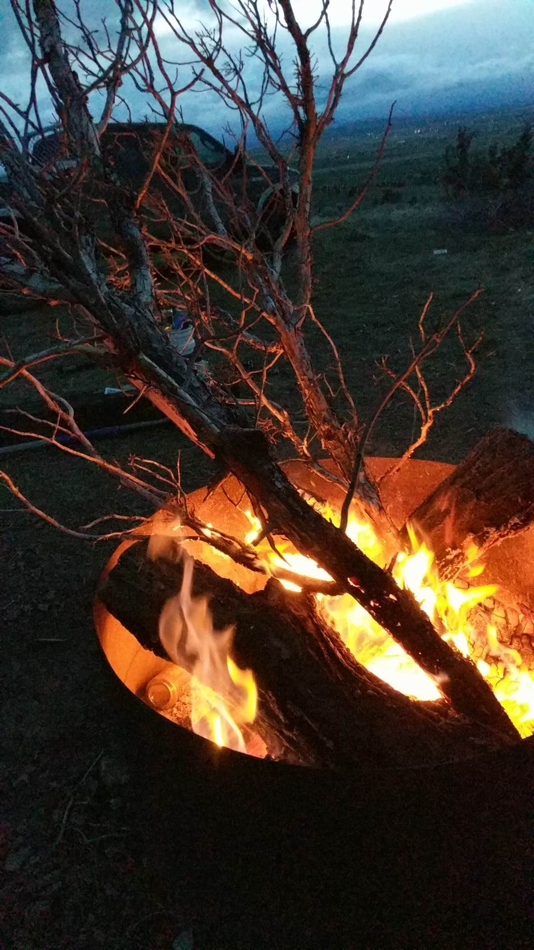 Camper submitted image from Cyrus Horse Camp - 5