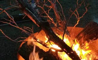 Sarah W.'s photo at Cyrus Horse Camp near Terrebonne, OR