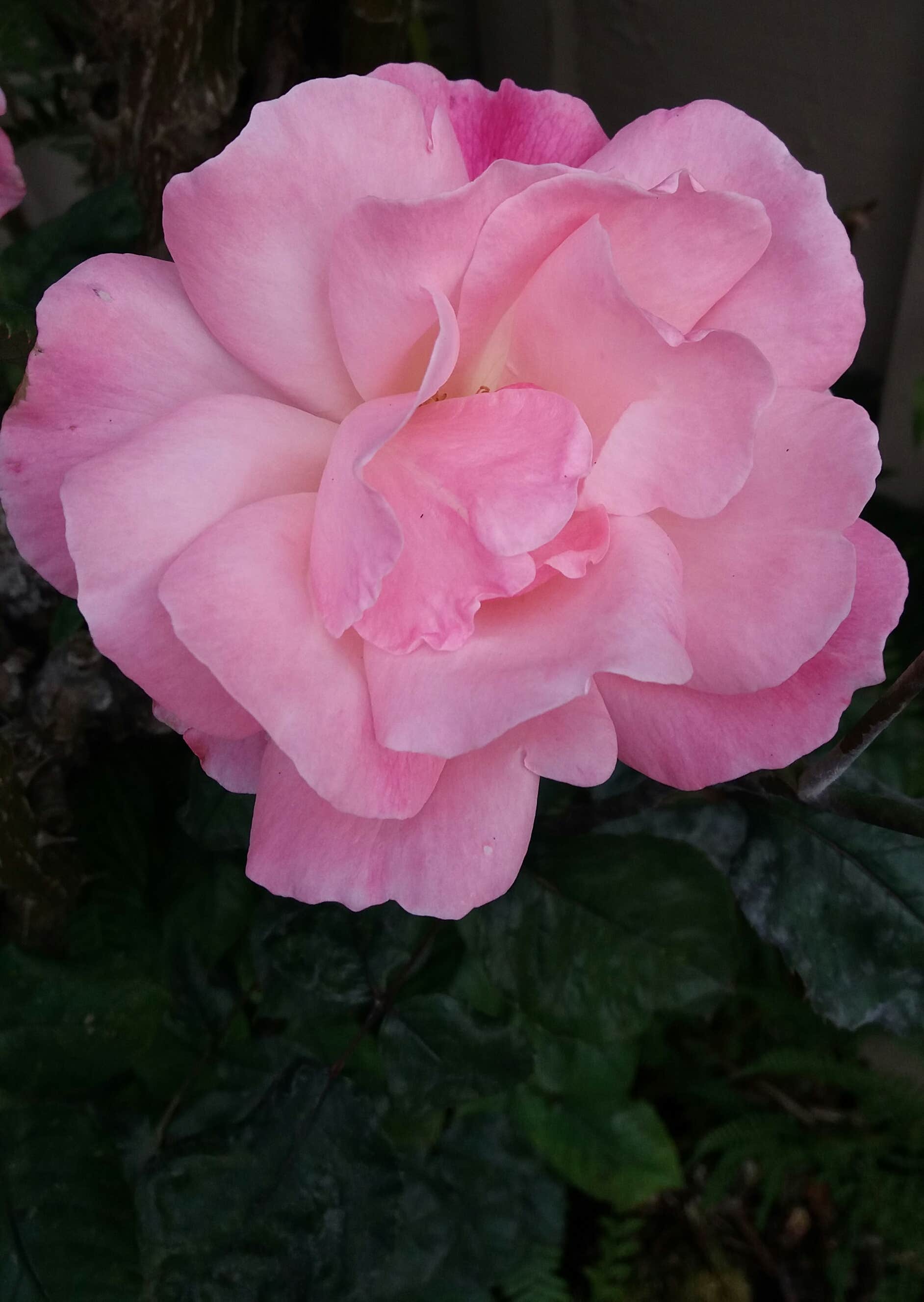 Camper-submitted photo at Bay Center-Willapa Bay KOA near Aberdeen, WA