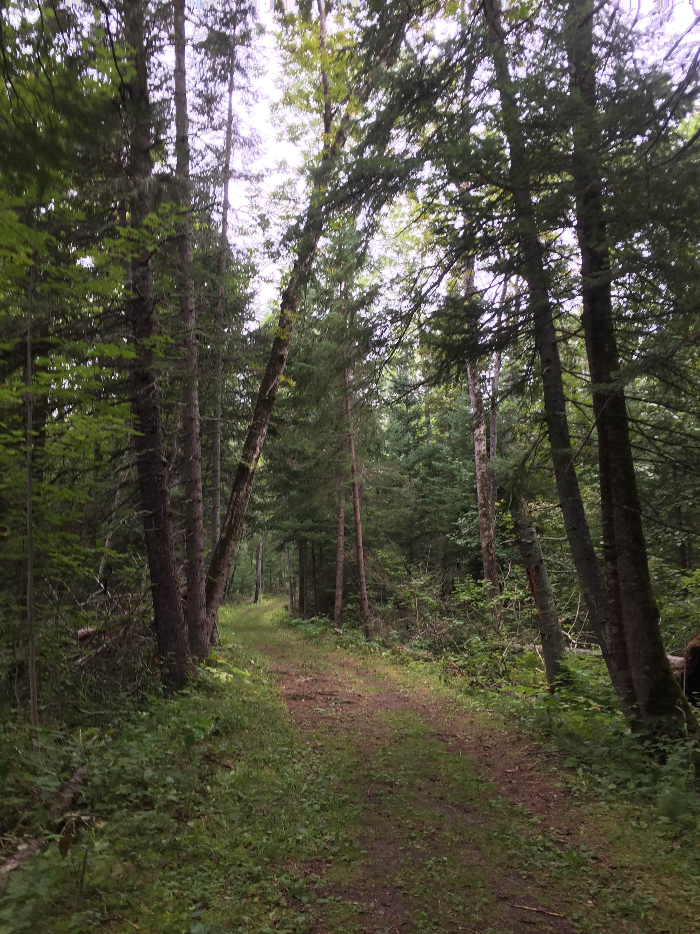 Camper-submitted photo at Chase Point Campground — Scenic State Park near Bigfork, MN