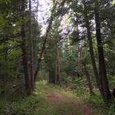 Review photo of Chase Point Campground — Scenic State Park by megan G., August 28, 2018