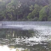 Review photo of Deep Lake Rustic Campground — Yankee Springs Recreation Area - TEMPORARILY CLOSED IN 2024 by Joshua M., August 1, 2016