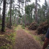 Review photo of Chase Point Campground — Scenic State Park by megan G., August 28, 2018