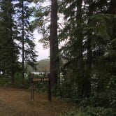 Review photo of Scenic State Park Campground by megan G., August 28, 2018