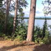 Review photo of Scenic State Park Campground by megan G., August 28, 2018