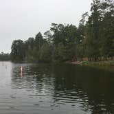 Review photo of Chase Point Campground — Scenic State Park by megan G., August 28, 2018