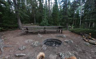 Molly D.'s photo of camping with pets at Tasha Equestrian near Aurora, UT