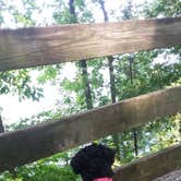 Review photo of Tugaloo State Park Campground by Janna S., August 28, 2018