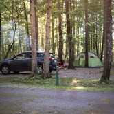 Review photo of Foster Falls Campground — South Cumberland State Park by Stephanie J., August 28, 2018