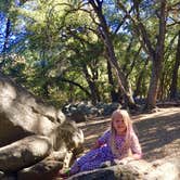 Review photo of Palomar Mountain State Park Campground by Dasha D., August 28, 2018
