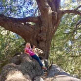 Review photo of Palomar Mountain State Park Campground by Dasha D., August 28, 2018