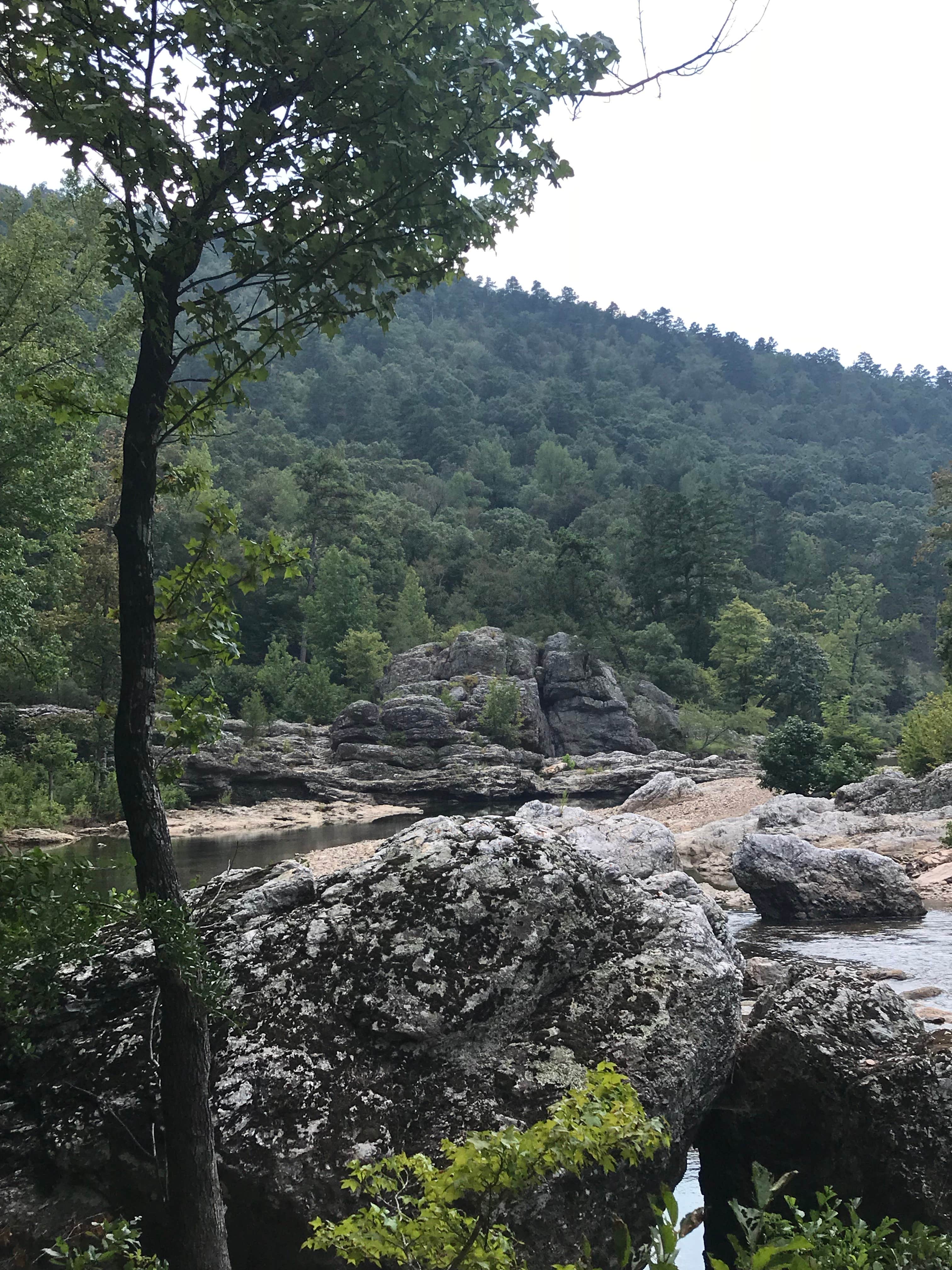 Camper-submitted photo at Albert Pike Recreation Area near Vandervoort, AR