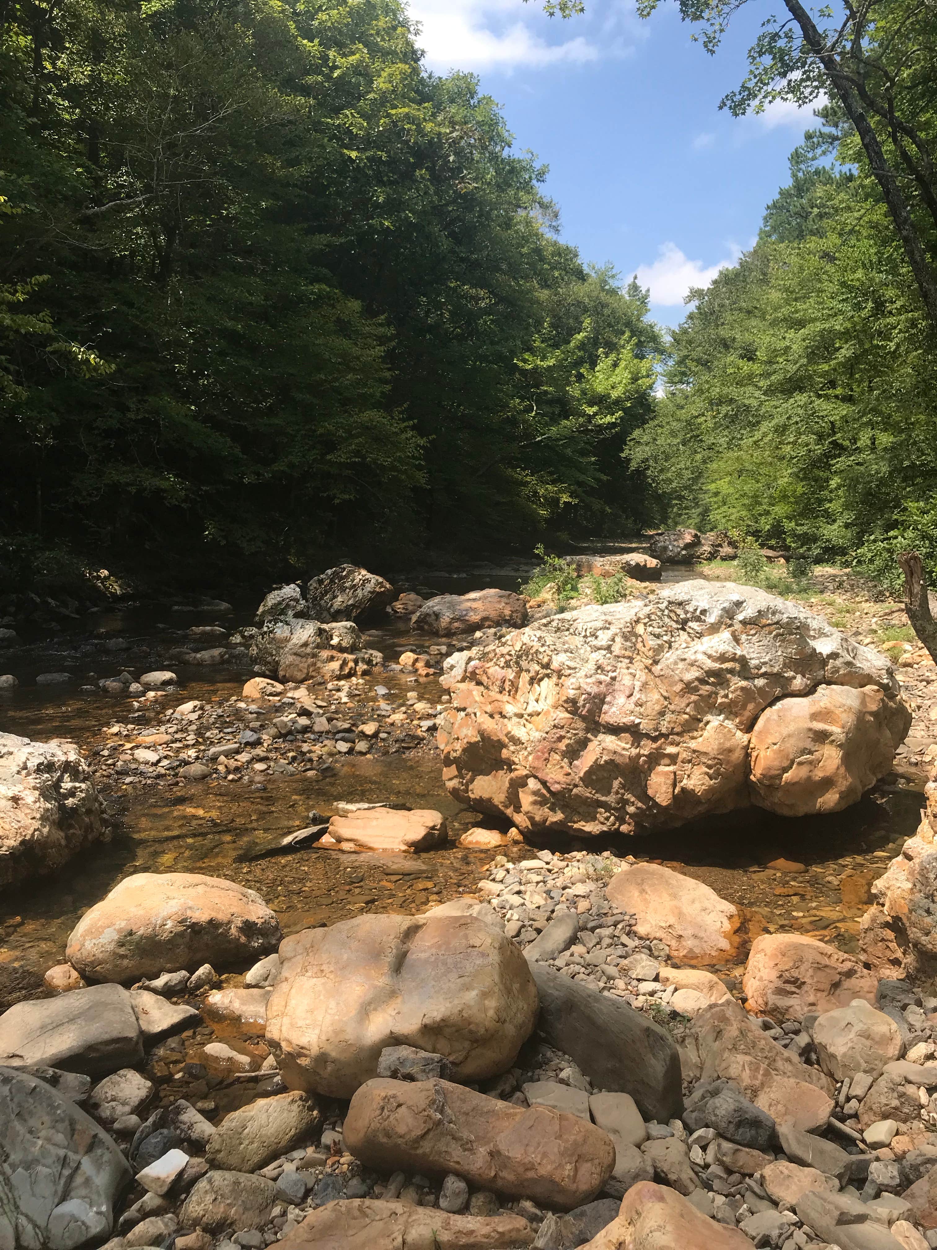 Camper-submitted photo at Albert Pike Recreation Area near Vandervoort, AR