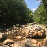 Review photo of Albert Pike Recreation Area by Andrew H., August 28, 2018