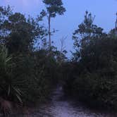 Review photo of Pine Grove Campground — Jonathan Dickinson State Park by Amy P., August 28, 2018