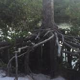 Review photo of Pine Grove Campground — Jonathan Dickinson State Park by Amy P., August 28, 2018