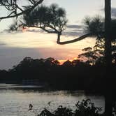 Review photo of Pine Grove Campground — Jonathan Dickinson State Park by Amy P., August 28, 2018