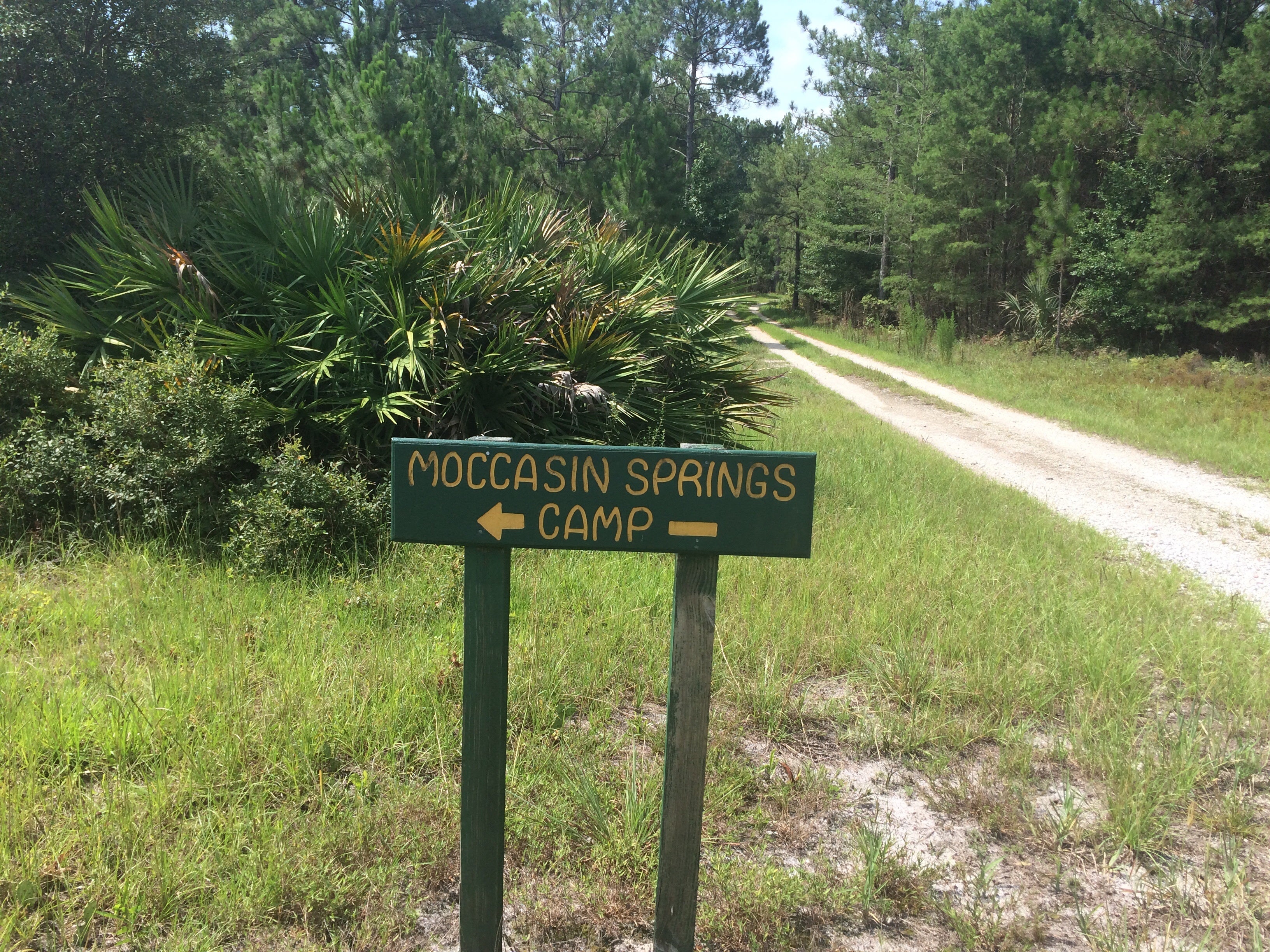 Camper submitted image from Seminole State Forest - Moccasin Camp - 5