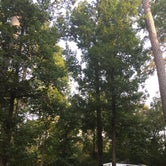 Review photo of Huntsville State Park Campground by David L., August 28, 2018