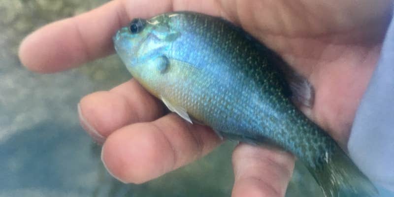 Camper submitted image from Double Rockin' R Campground